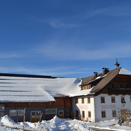 Apartamento Vorderreithbauer Hof bei Salzburg Exterior foto
